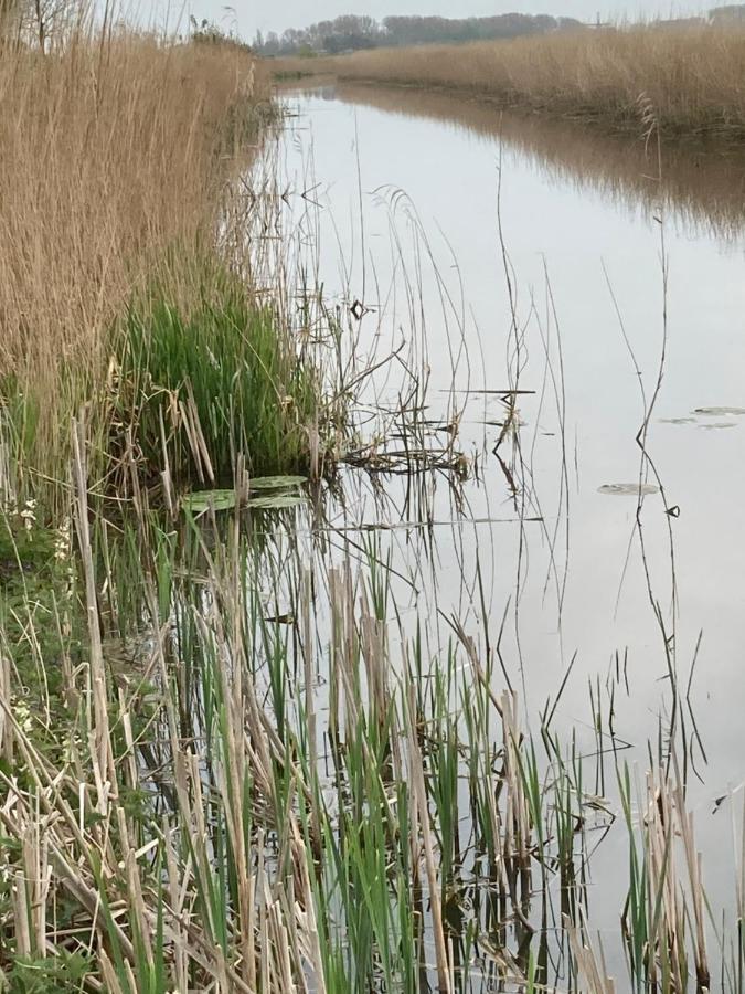 Vakantiehuis 'T Laaisterplakky Zonder Drempels Oude Bildtzijl Luaran gambar