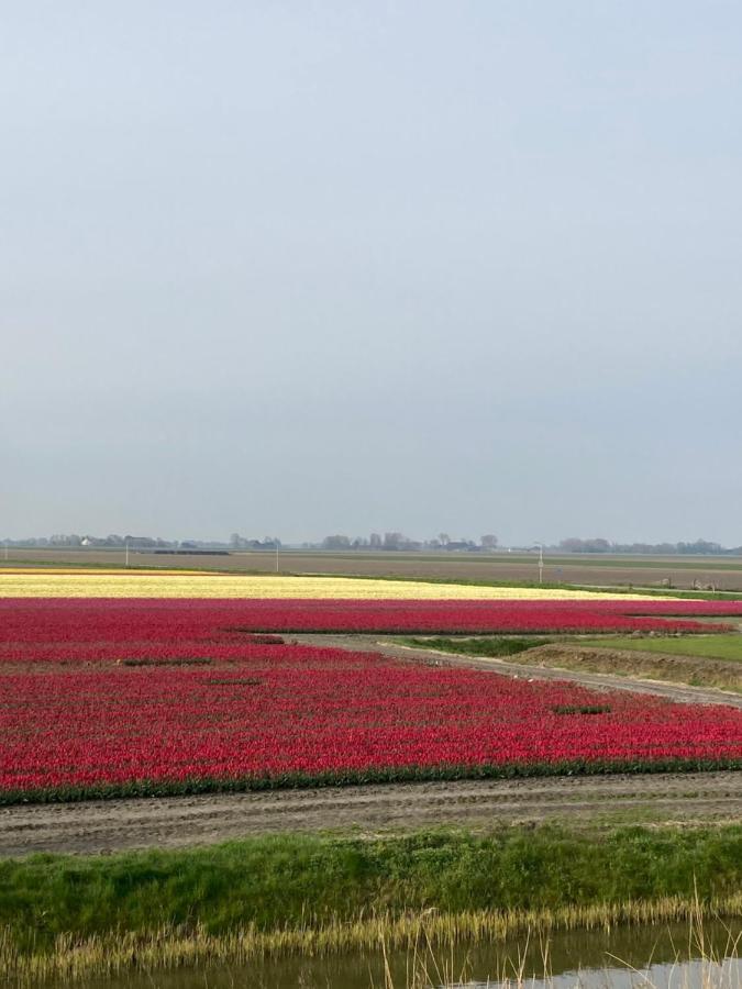 Vakantiehuis 'T Laaisterplakky Zonder Drempels Oude Bildtzijl Luaran gambar
