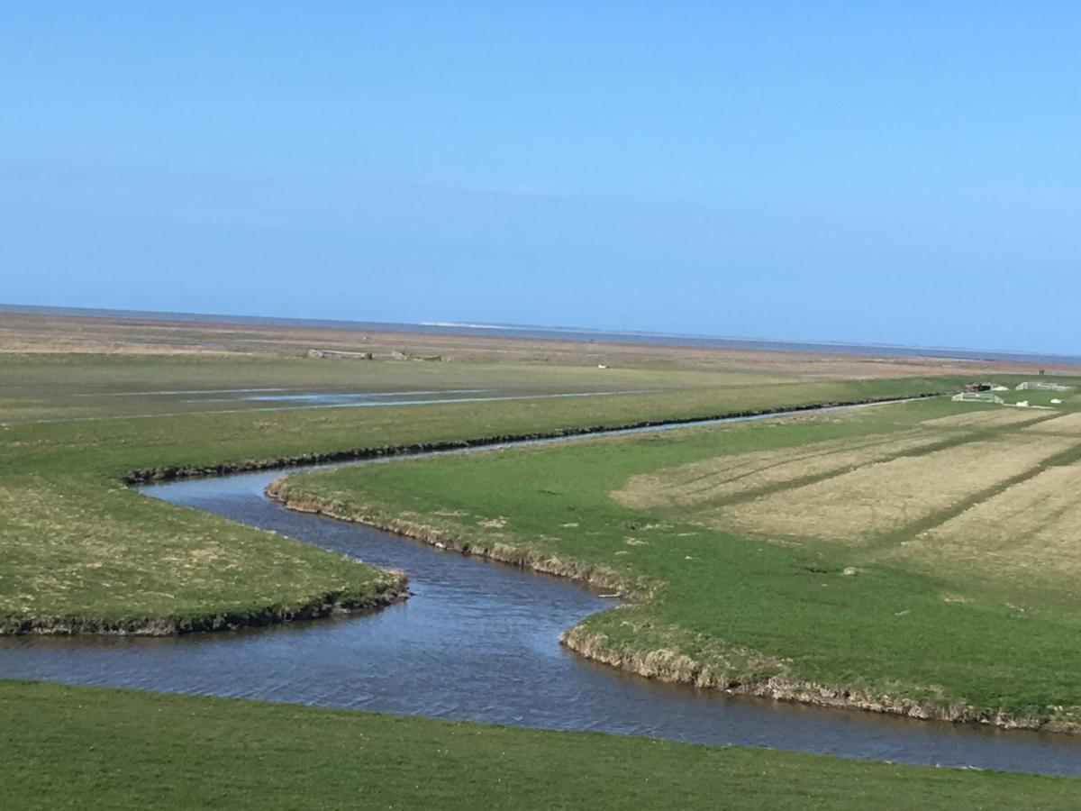 Vakantiehuis 'T Laaisterplakky Zonder Drempels Oude Bildtzijl Luaran gambar